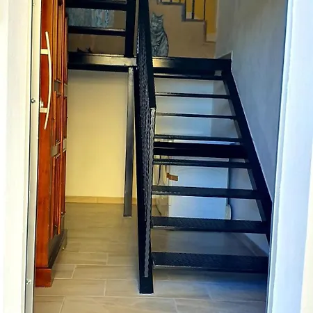 Apartman Goloritze *